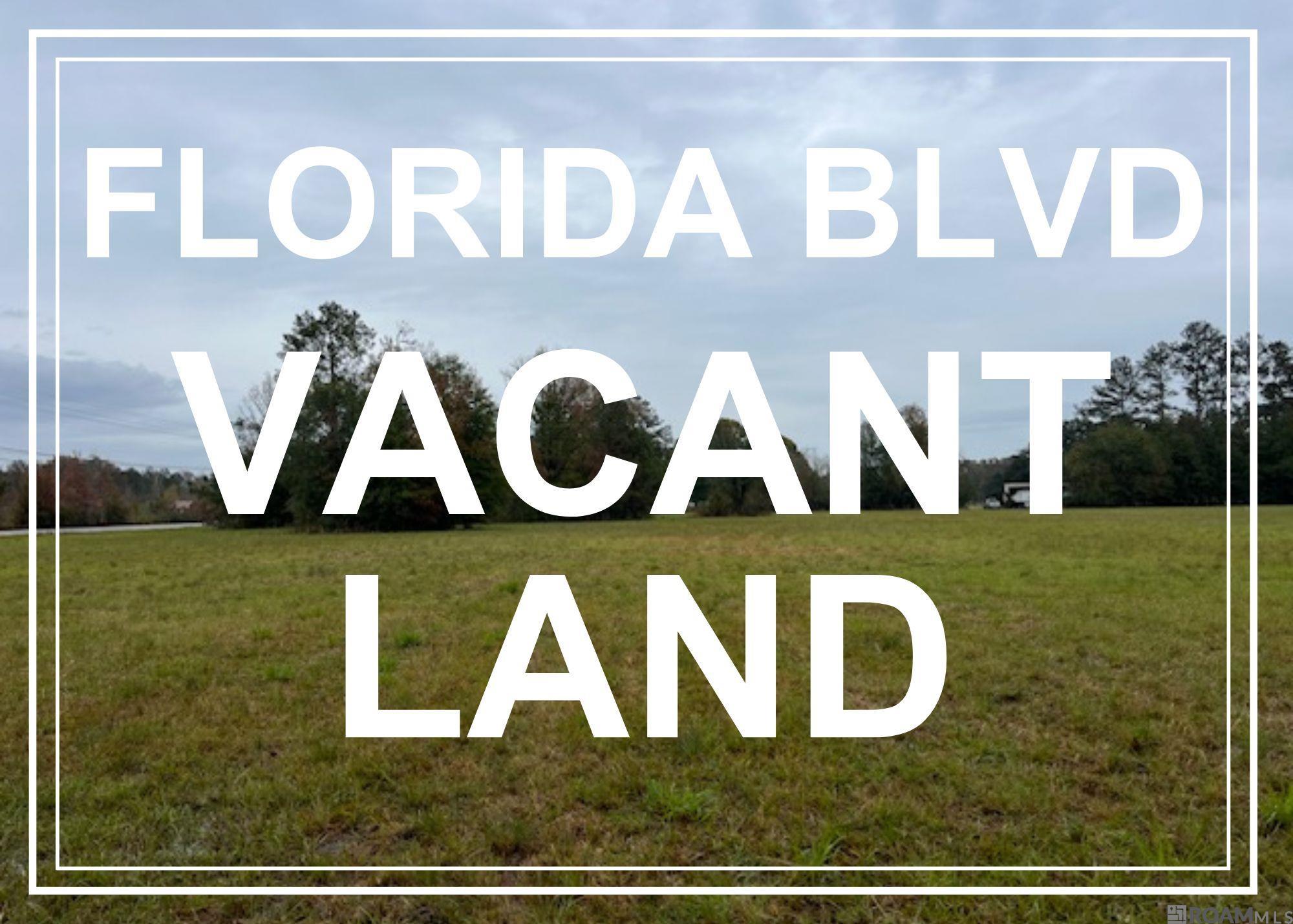 TRACT MM-1 Florida Blvd, Livingston, Louisiana image 1