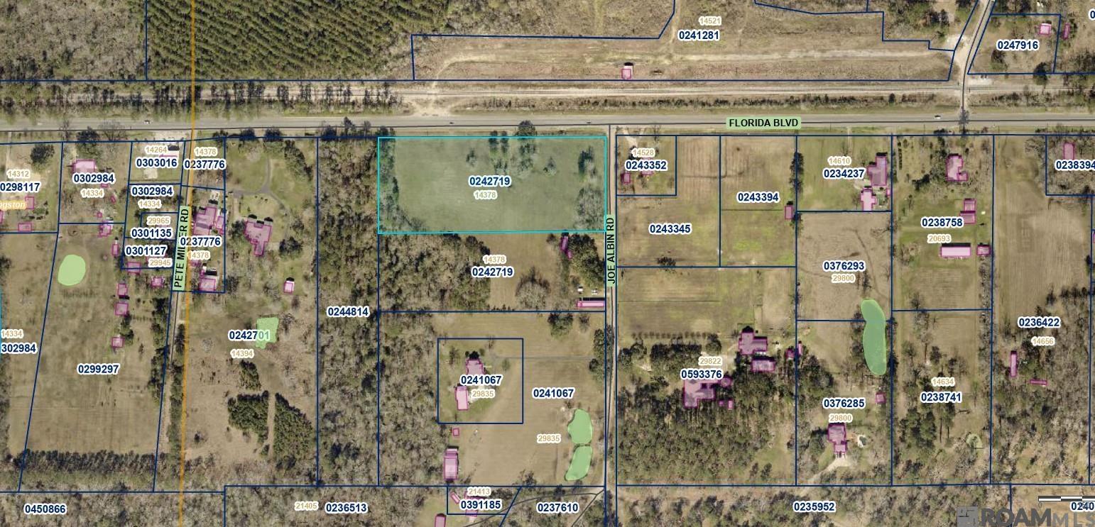 TRACT MM-1 Florida Blvd, Livingston, Louisiana image 8