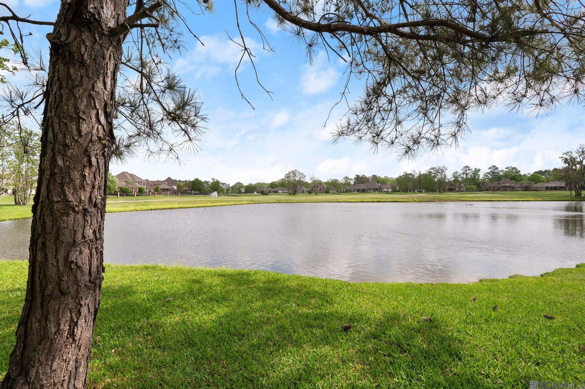 9285 Greystone Dr, Denham Springs, Louisiana image 35