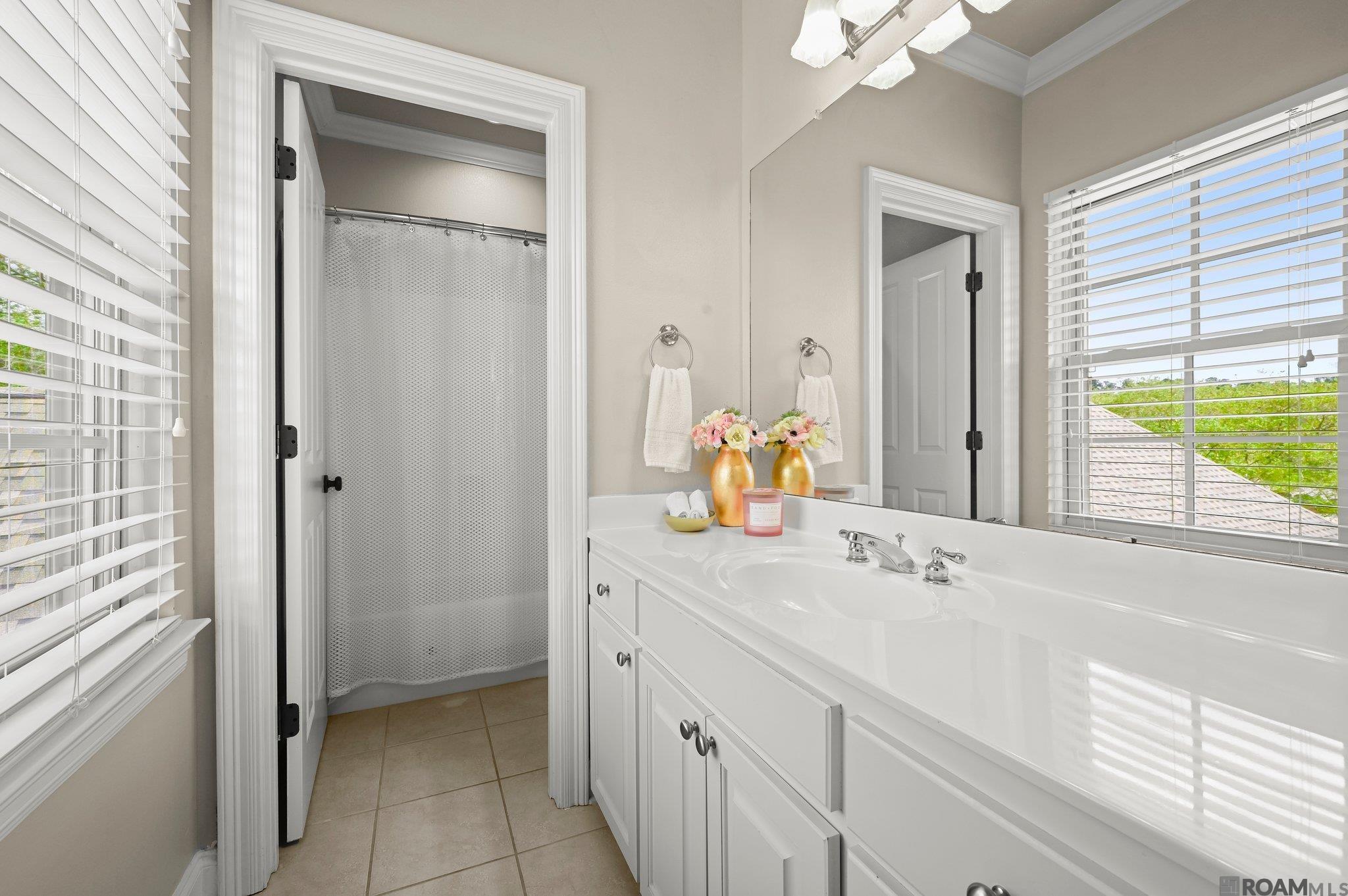9285 Greystone Dr, Denham Springs, Louisiana image 24