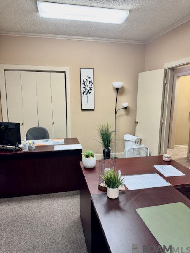 11745 Bricksome Ave #B1