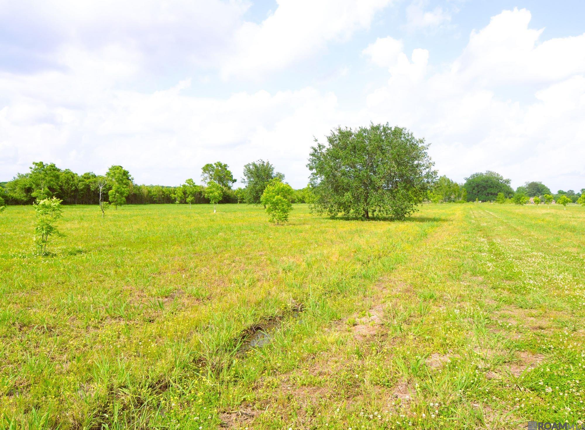 TBD Valverda Rd, Maringouin, Louisiana image 3