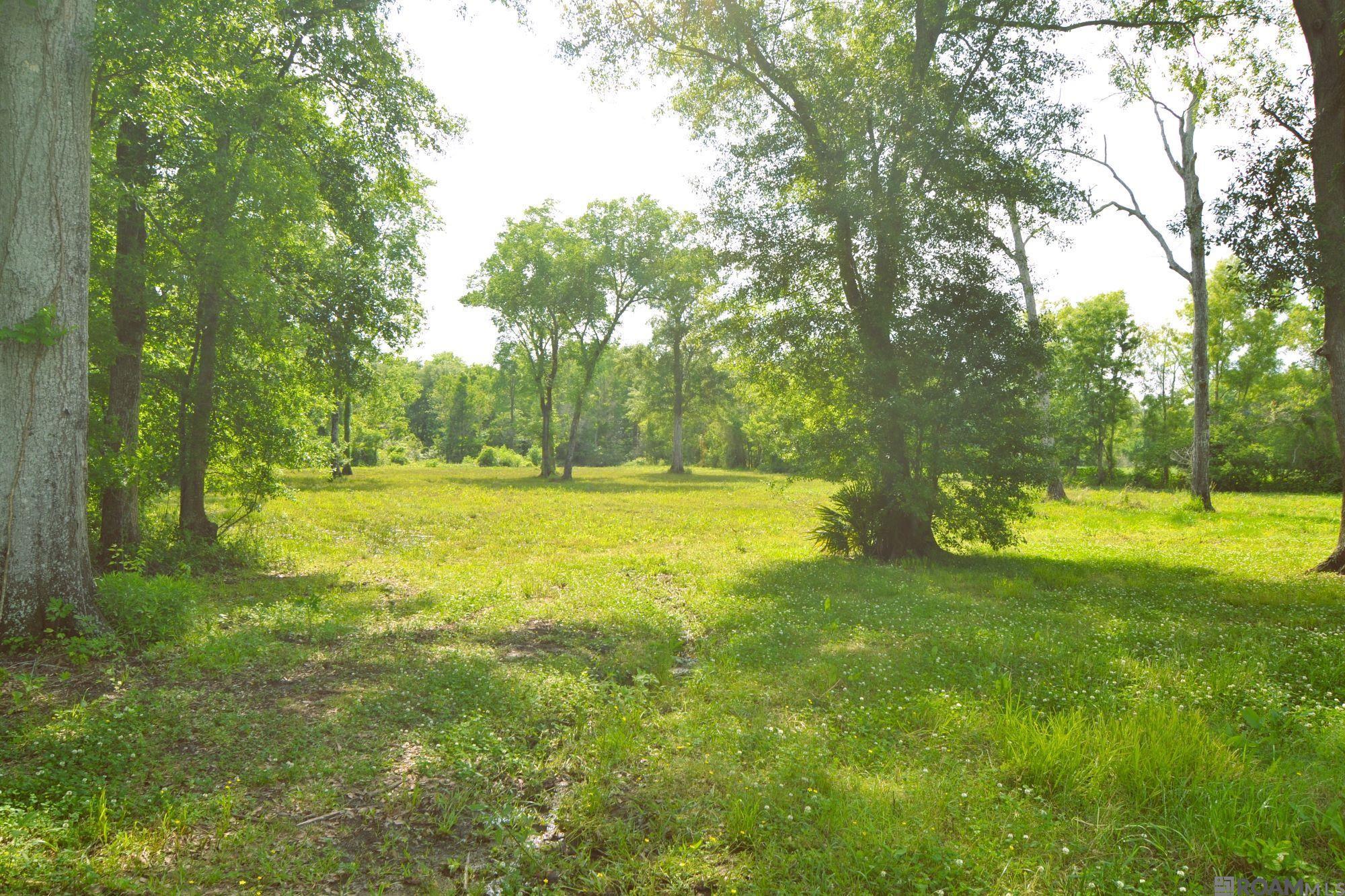 TBD Valverda Rd, Maringouin, Louisiana image 5