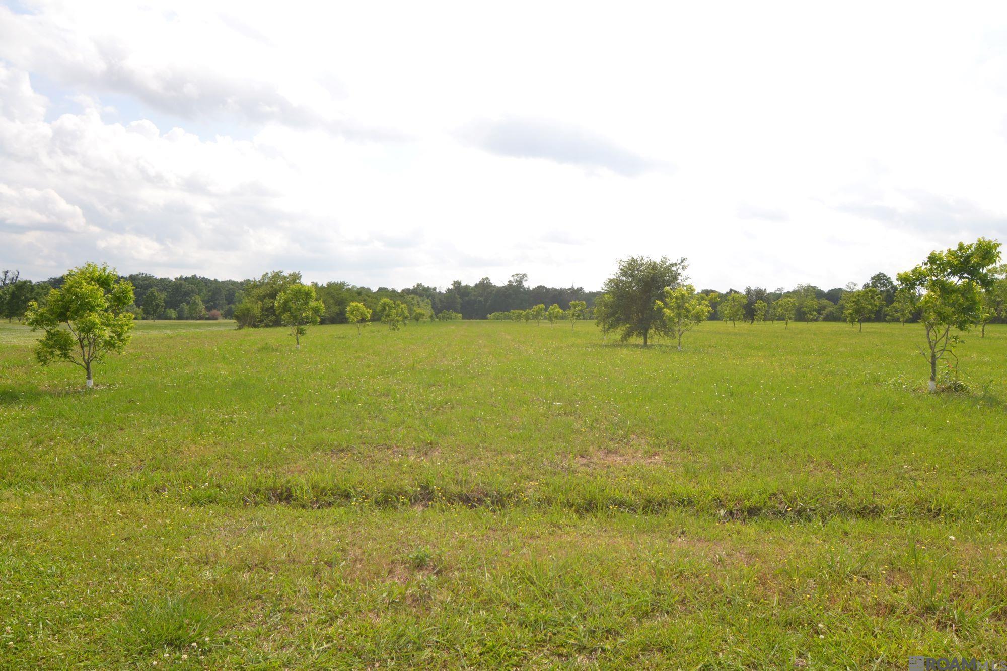 TBD Valverda Rd, Maringouin, Louisiana image 2
