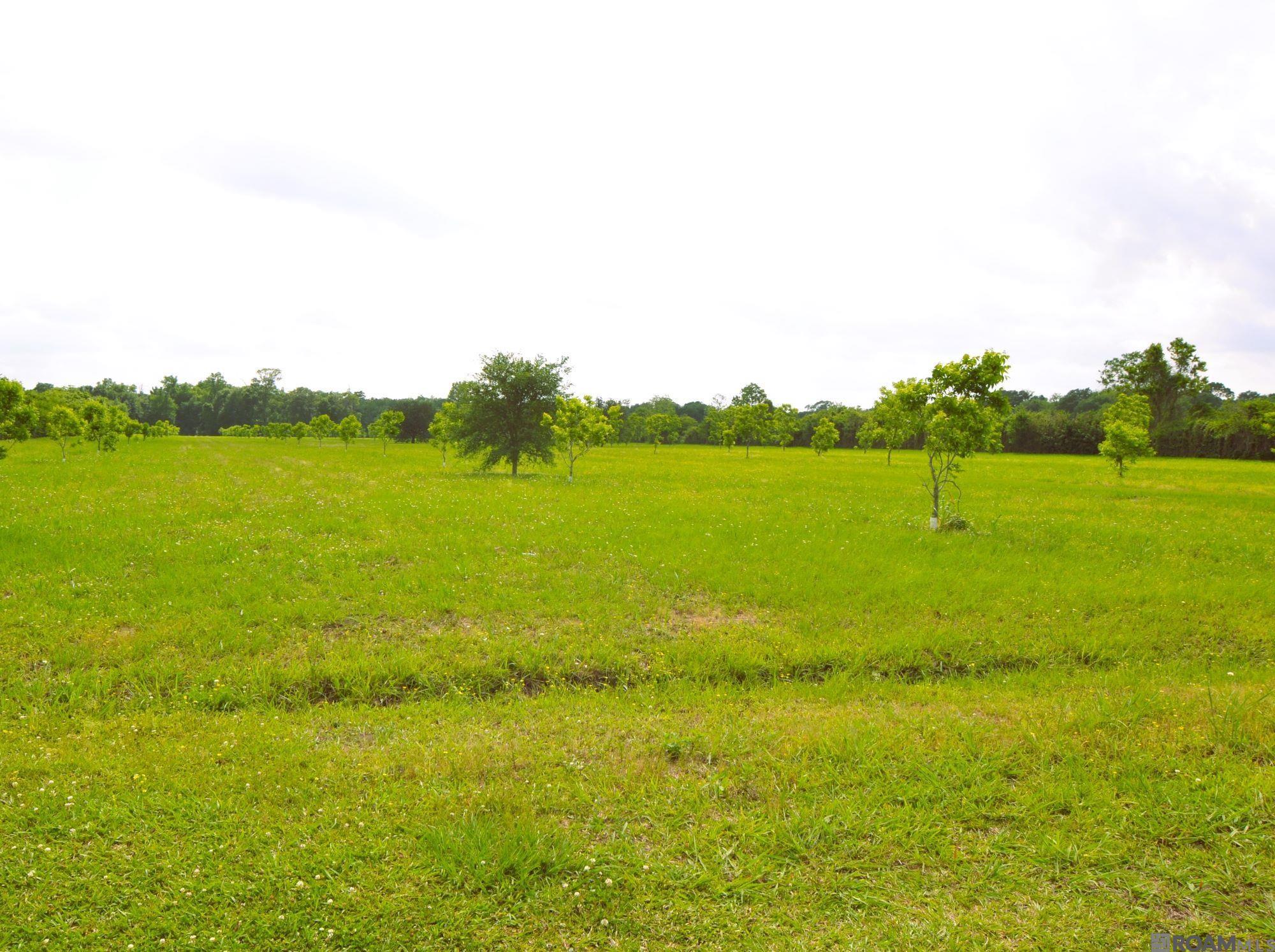 TBD Valverda Rd, Maringouin, Louisiana image 1