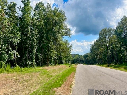 Vacant Land For Sale - 4031 Oak Run Dr<br/> Saint Francisville, LA 70775