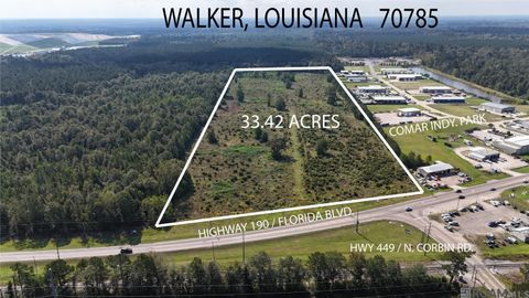 Vacant Land For Sale - TBD Hwy 190<br/> Walker, LA 70785