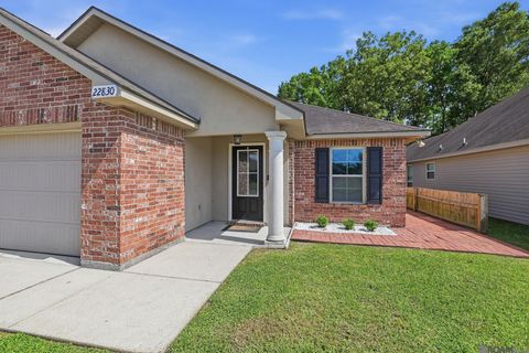 Homes For Sale - 22830 Citation Dr<br/> Denham Springs, LA 70726