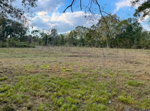 Vacant Land For Sale - 10013 E La Hwy 936<br/> St Amant, LA 70774