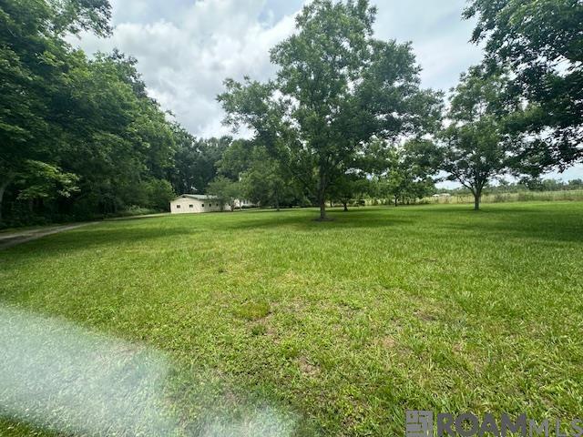 2439 Little Italy Rd, Torbert, Louisiana image 13