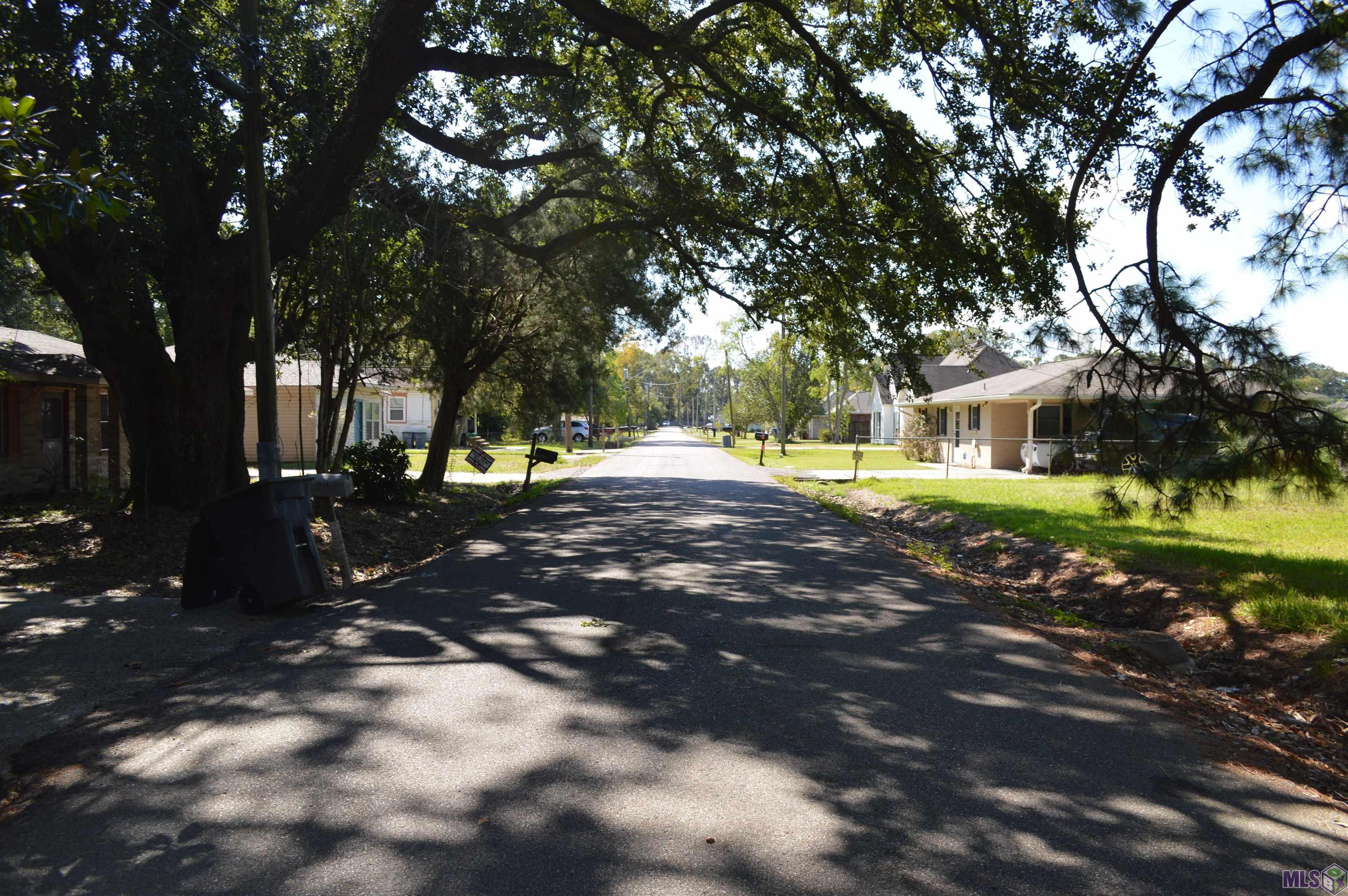 S Arceneaux Ave, Gonzales, Louisiana image 3