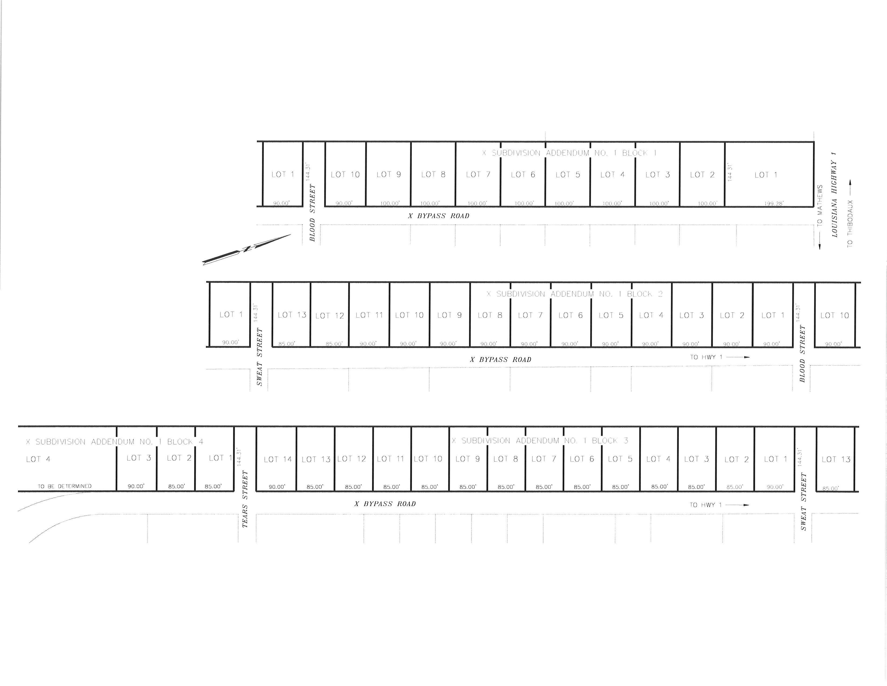 314 X Bypass Road, Raceland, Louisiana image 1