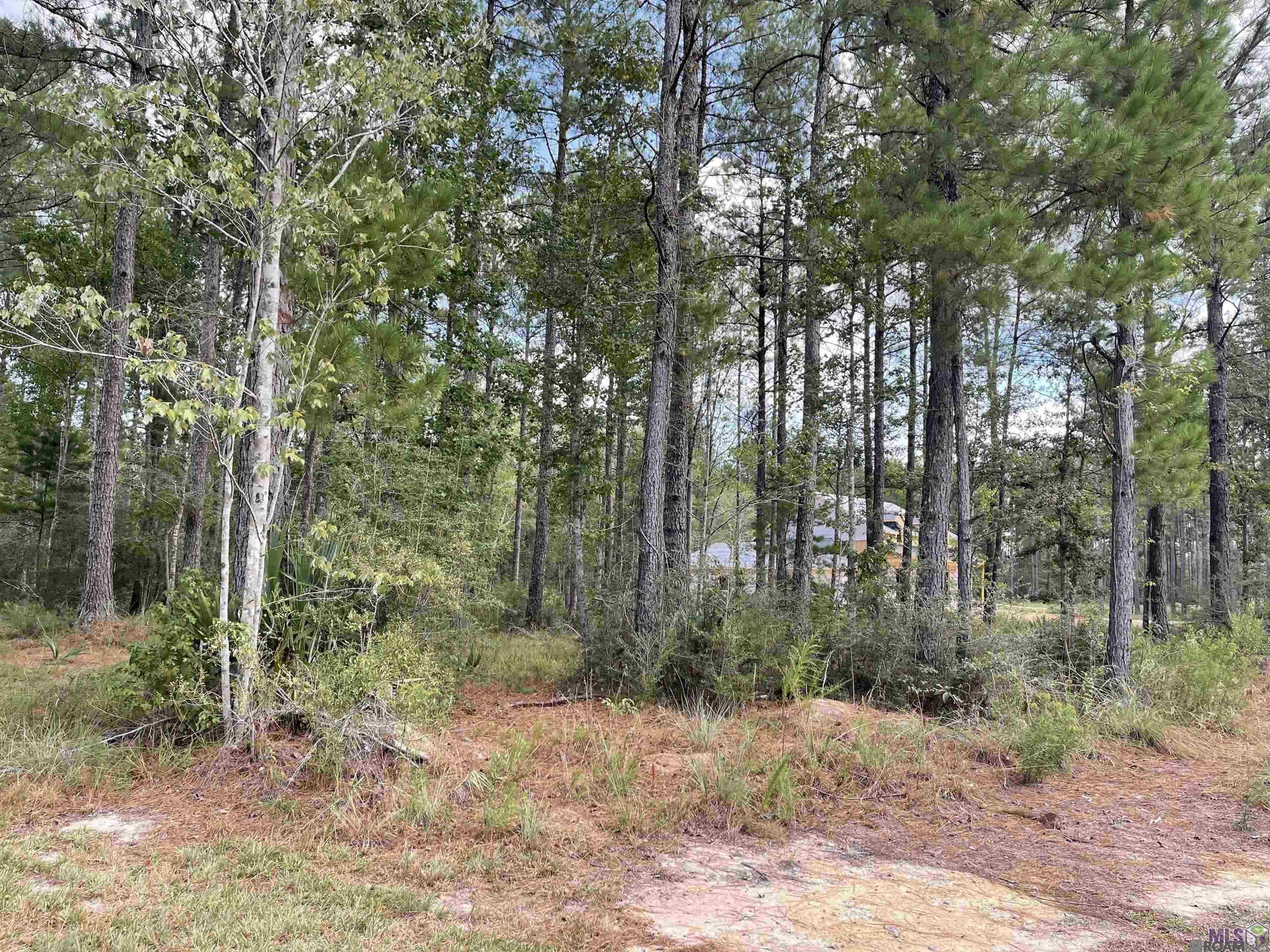 25907 Clyde Blount Rd, Livingston, Louisiana image 1
