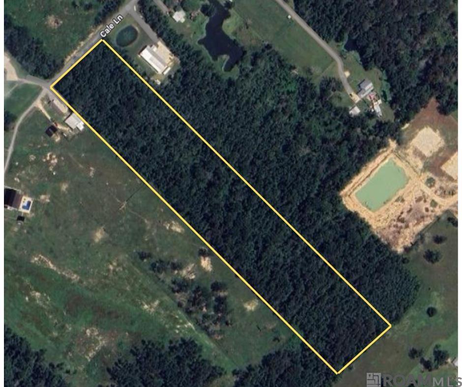 Cale Ln, Livingston, Louisiana image 4