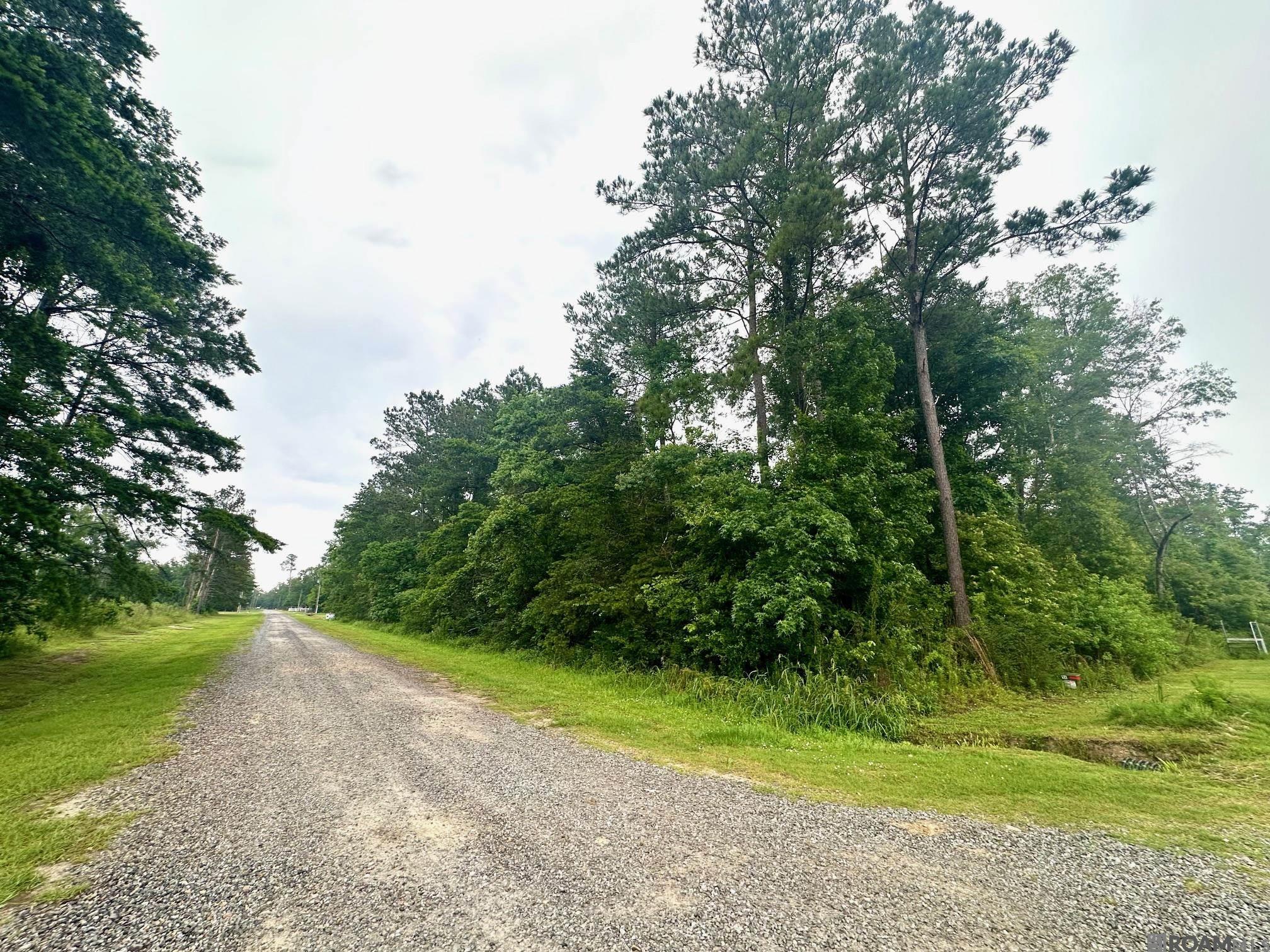 Cale Ln, Livingston, Louisiana image 3