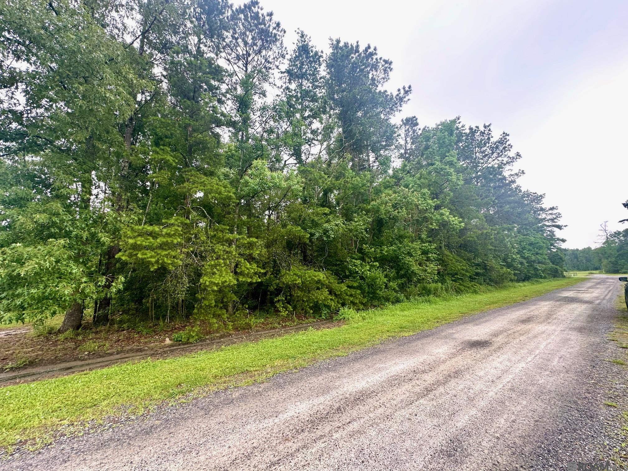 Cale Ln, Livingston, Louisiana image 1