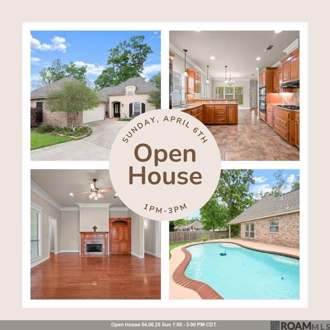 13245 Oak Knoll Dr, Geismar, Louisiana image 1