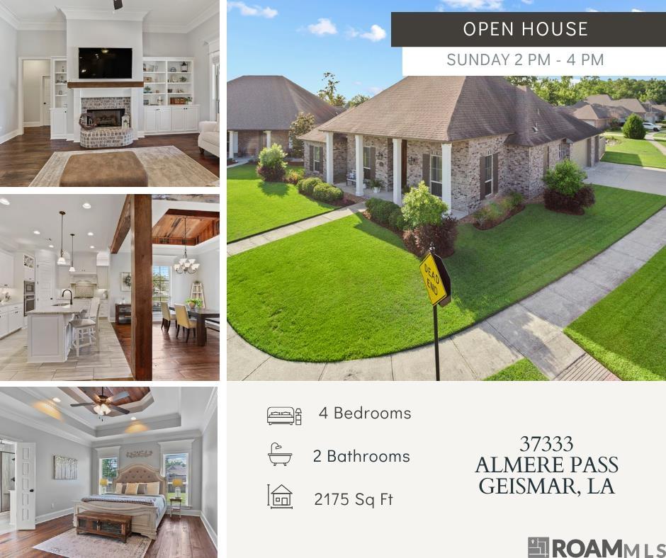 37333 Almere Pass, Geismar, Louisiana image 1