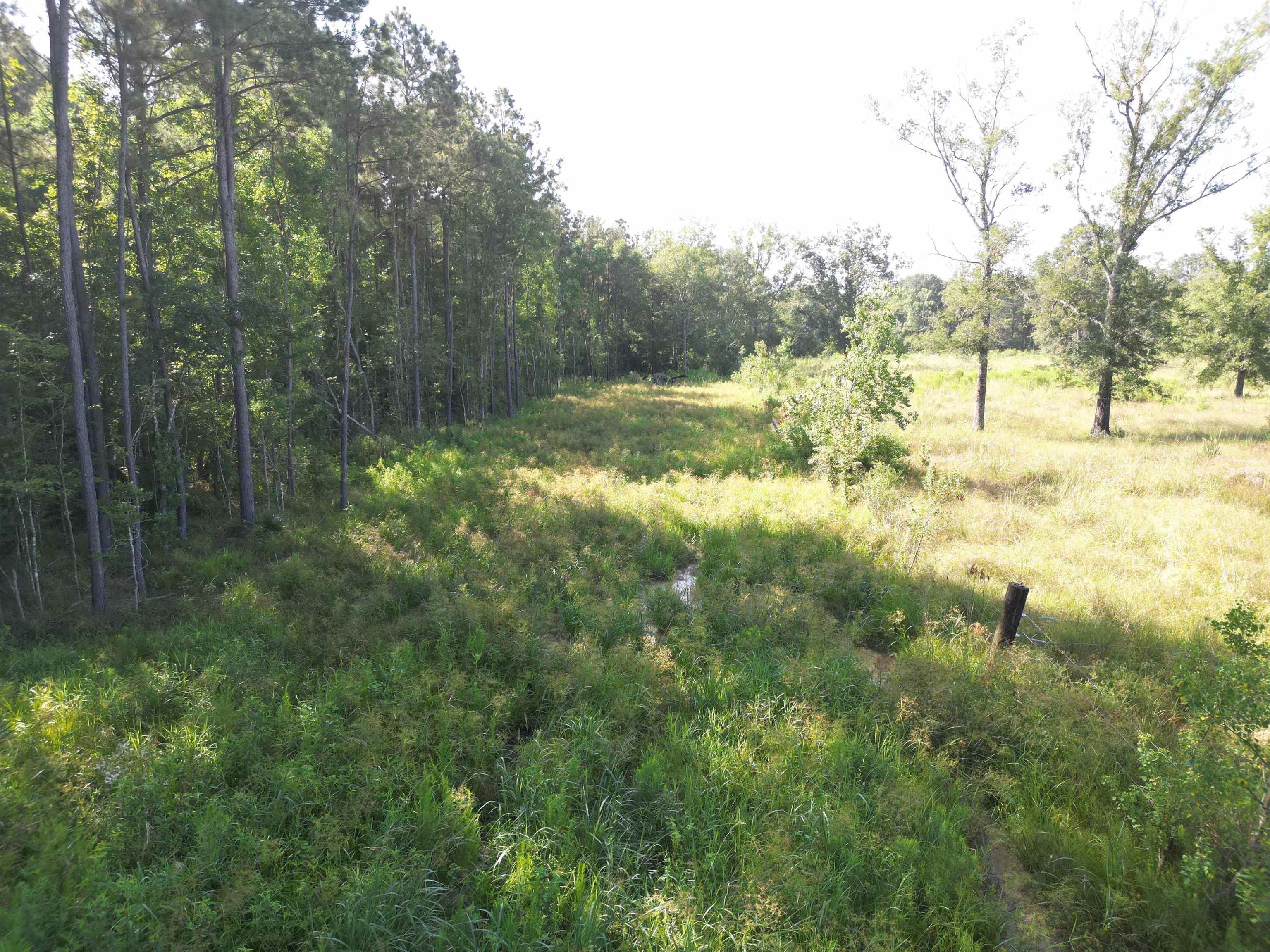 LOT 5 Critter Cove Ln, Livingston, Louisiana image 10