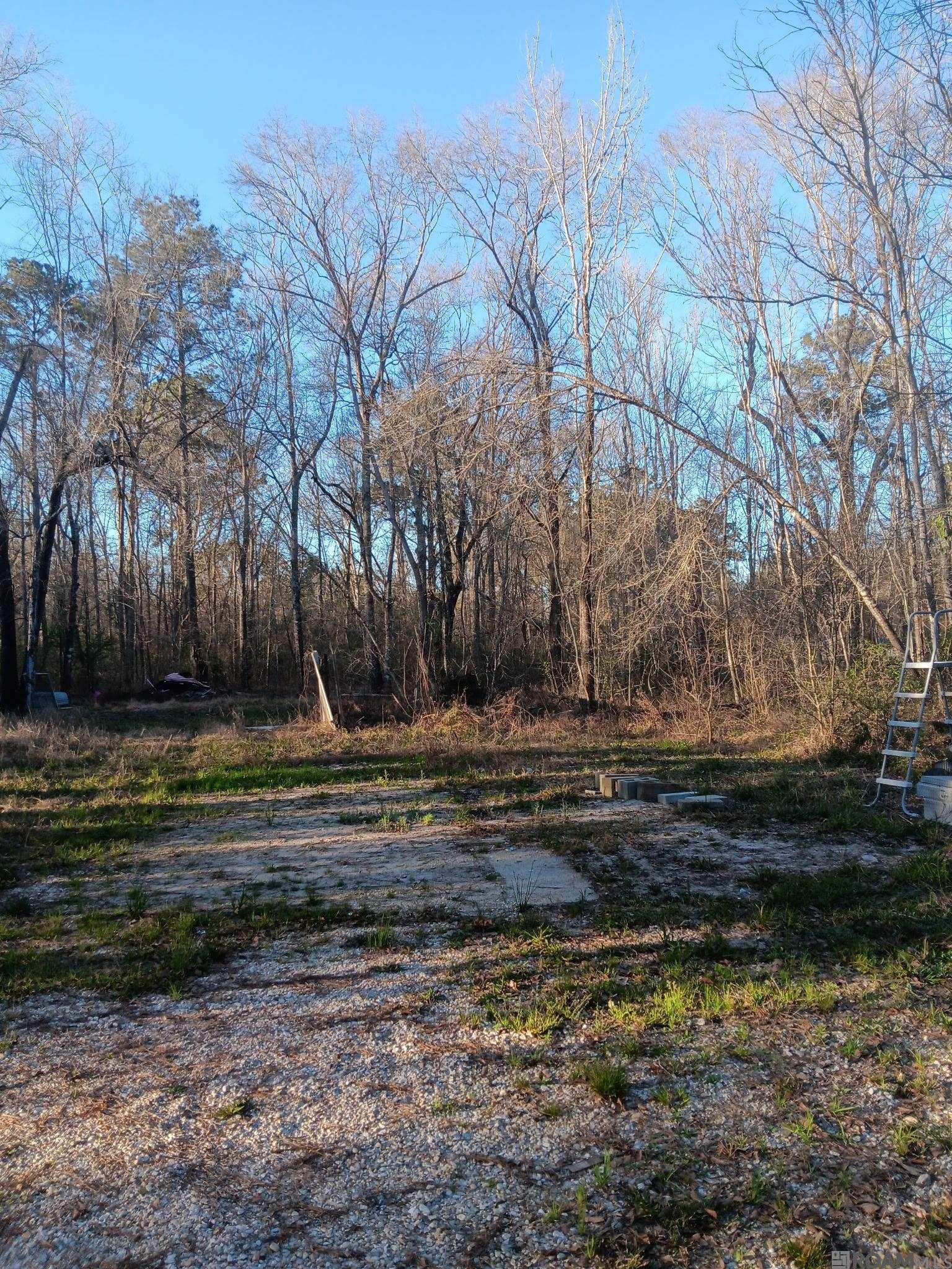 29189 W La-40 Highway, Independence, Louisiana image 1