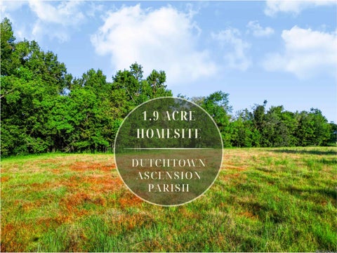 Vacant Land For Sale - LOT NRC 9 New River Canal Rd<br/> Geismar, LA 70734