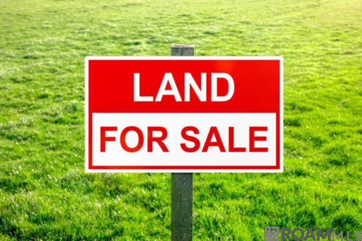 Lot B-4 Perrilloux Rd, Livingston, Louisiana image 1