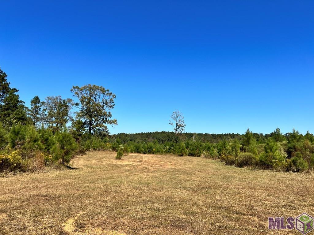 00 Ms Hwy 48, Centreville, Mississippi image 36