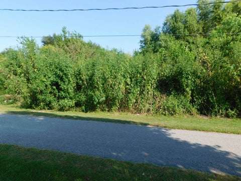 Vacant Land For Sale - TBD East 100th Street<br/> Lafourche County, Cut Off, LA 70345
