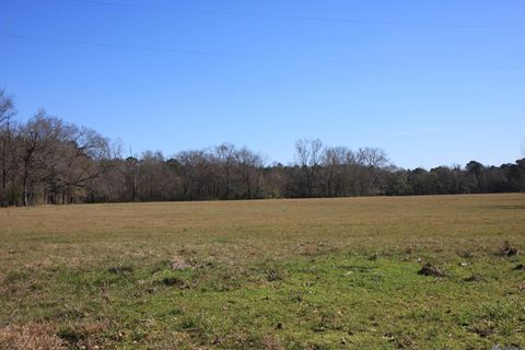 Vacant Land For Sale - TBD LOT 2 La Hwy 958<br/> Slaughter, LA 70777