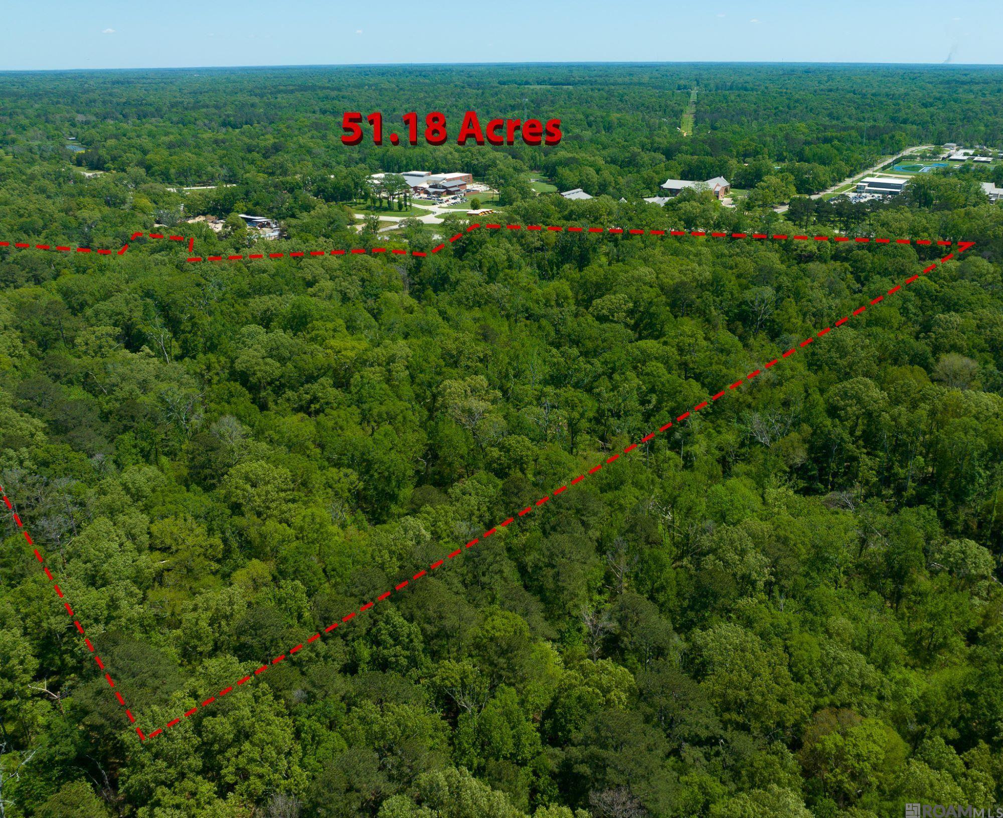 8677 Us Hwy 61, Saint Francisville, Louisiana image 6