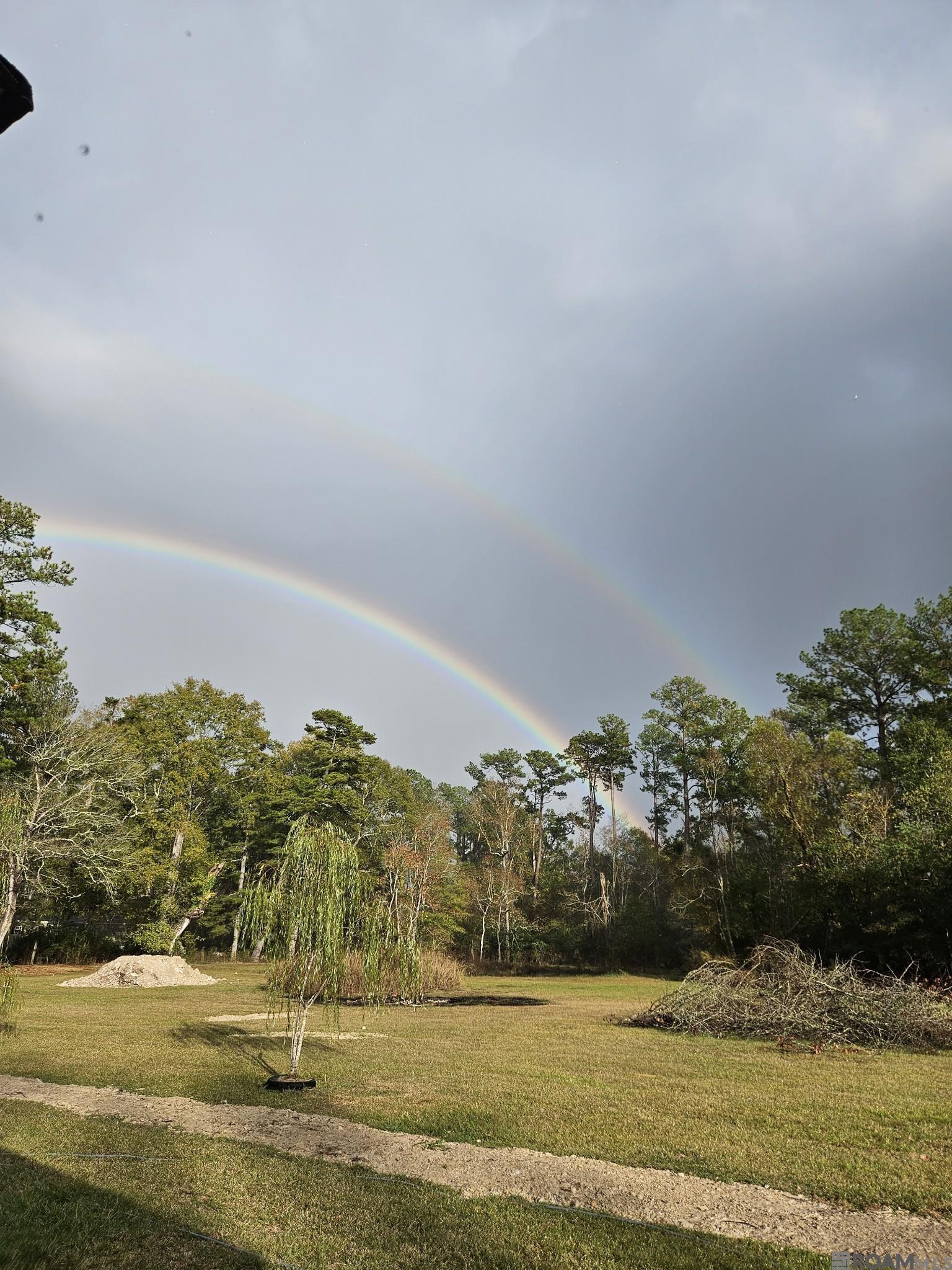 19286 Palmer Rd, Livingston, Louisiana image 30