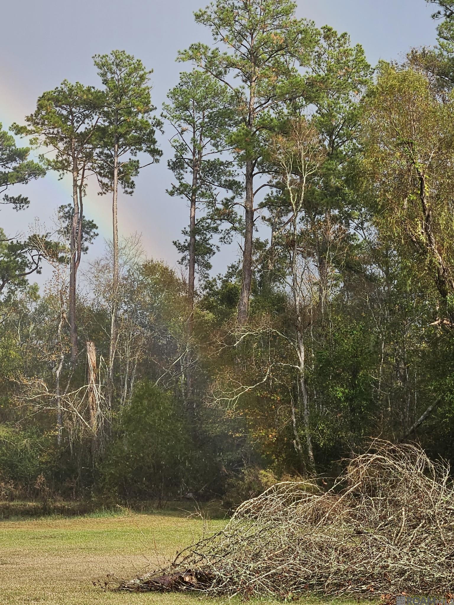 19286 Palmer Rd, Livingston, Louisiana image 24