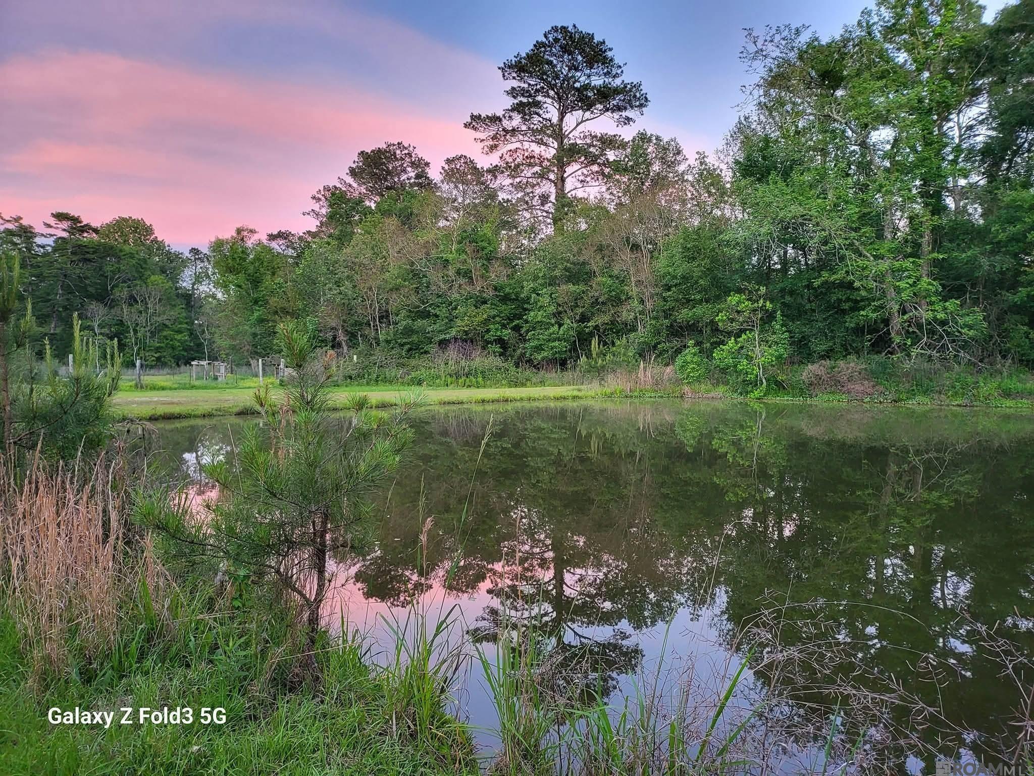 19286 Palmer Rd, Livingston, Louisiana image 35