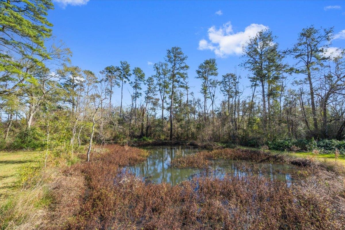 19286 Palmer Rd, Livingston, Louisiana image 12