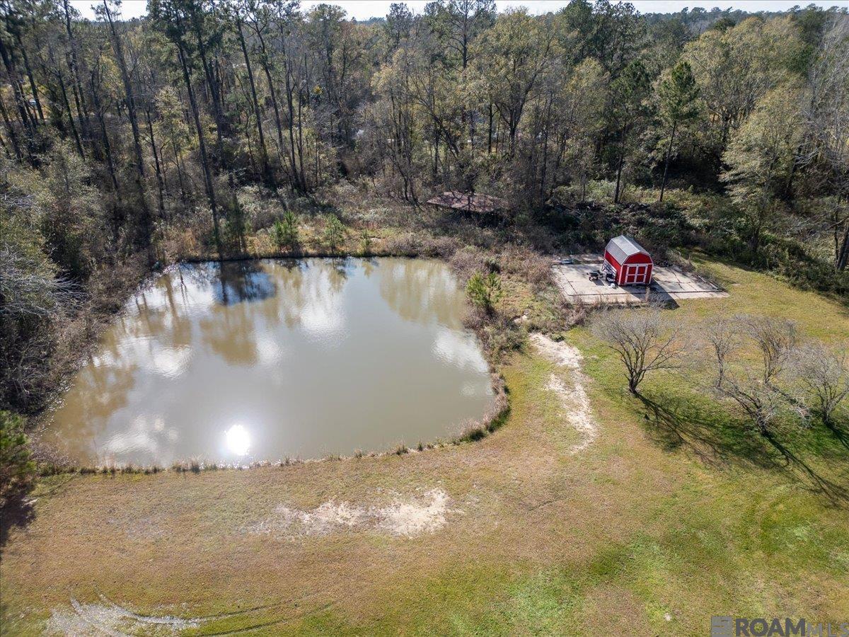 19286 Palmer Rd, Livingston, Louisiana image 18