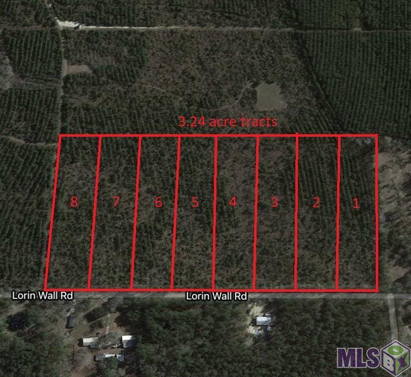 Tract 8 Lorin Wall Rd, Holden, Louisiana image 6