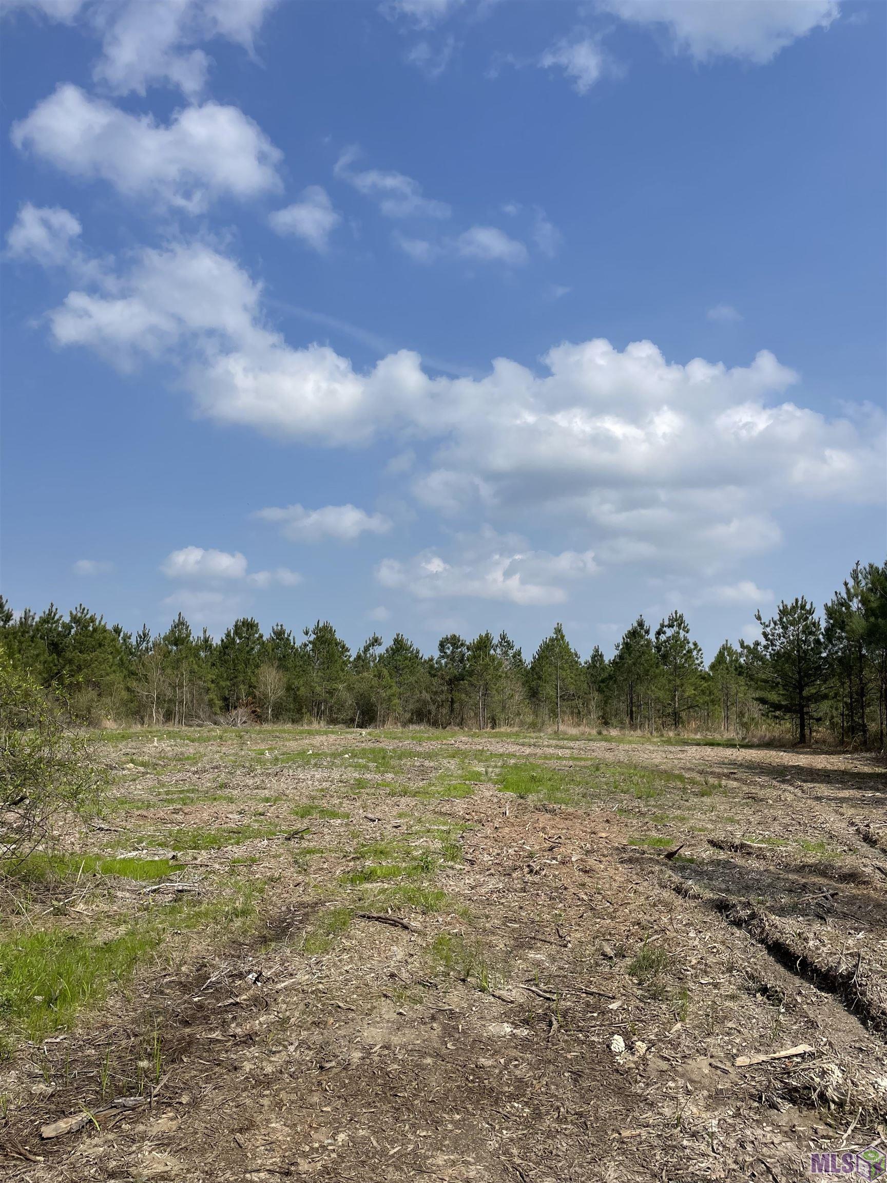 Tract 8 Lorin Wall Rd, Holden, Louisiana image 1