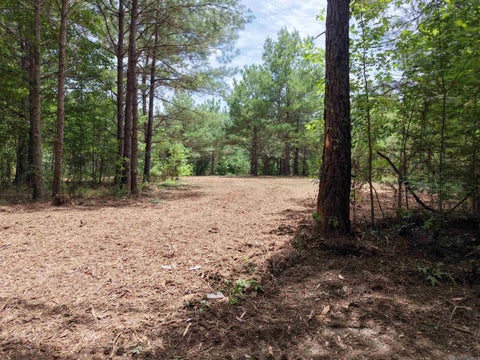 Vacant Land For Sale - TRACT B Jackson Rd<br/> Tangipahoa County, Kentwood, LA 70444