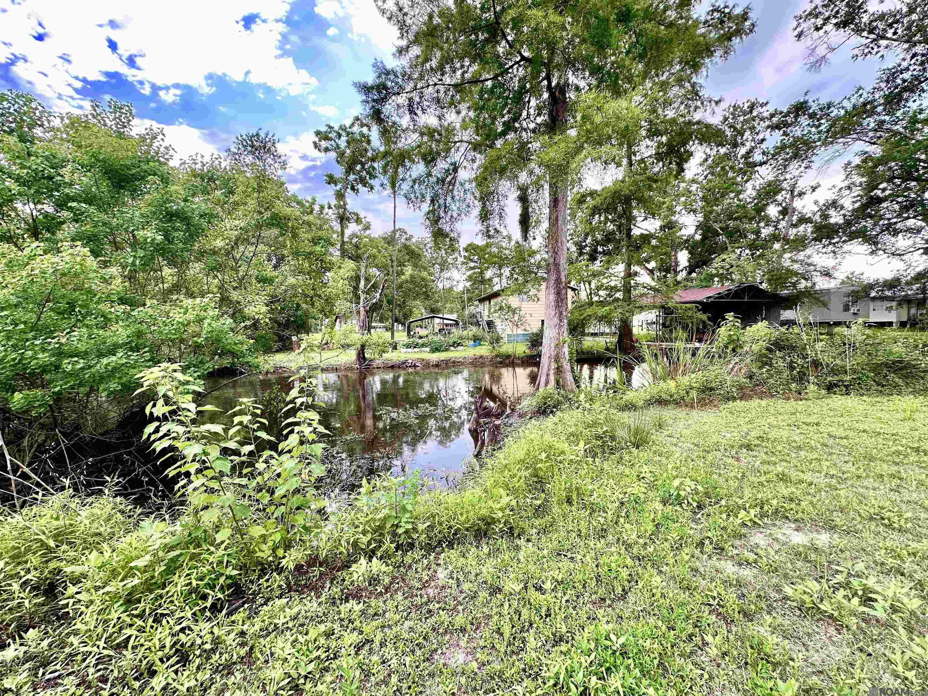 Lot#348349350 Dove St, Maurepas, Louisiana image 5