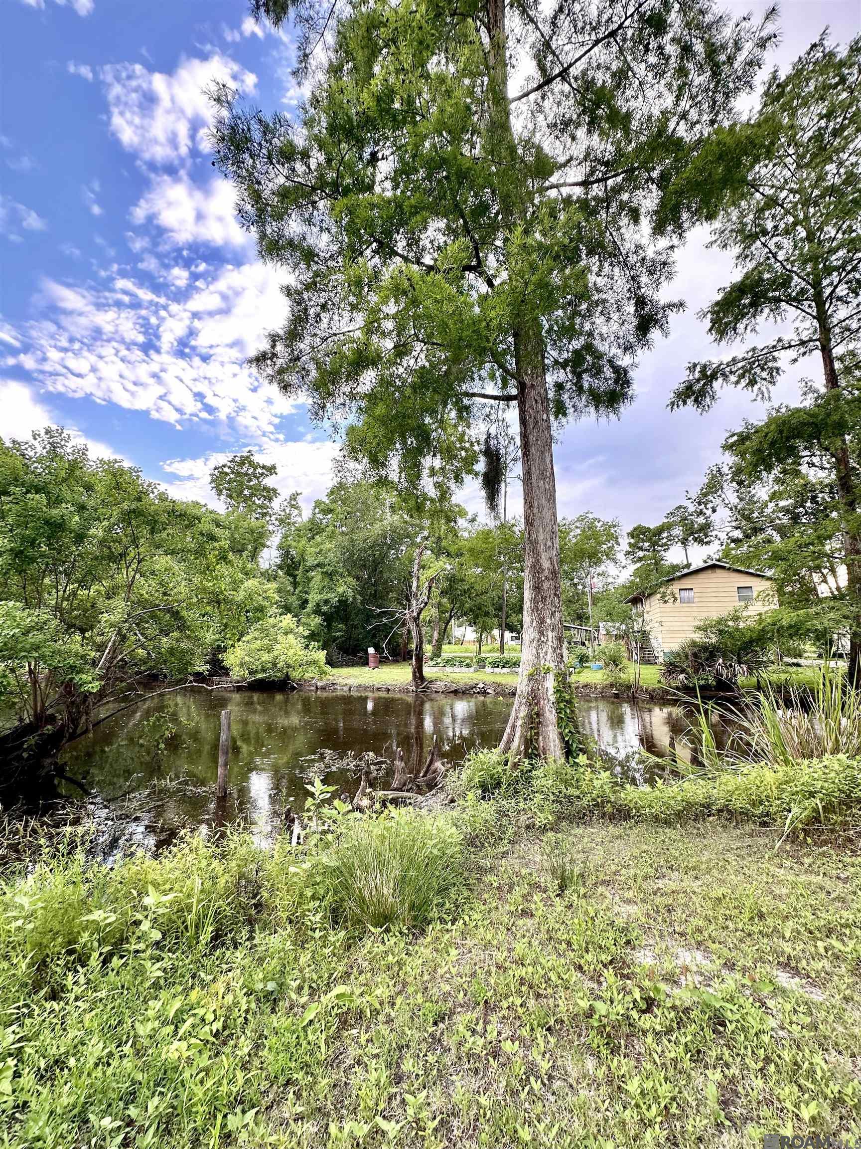 Lot#348349350 Dove St, Maurepas, Louisiana image 6