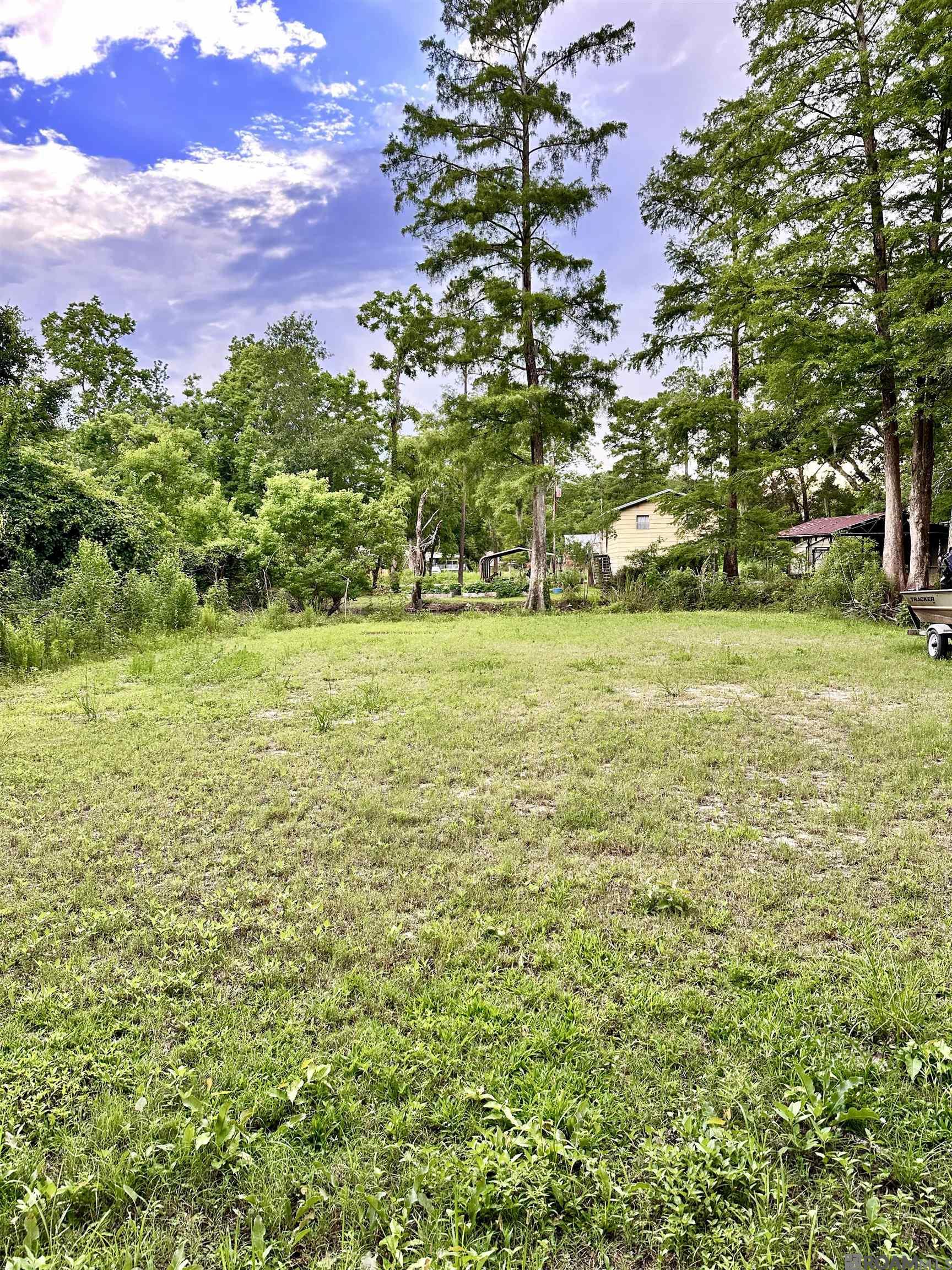 Lot#348349350 Dove St, Maurepas, Louisiana image 2