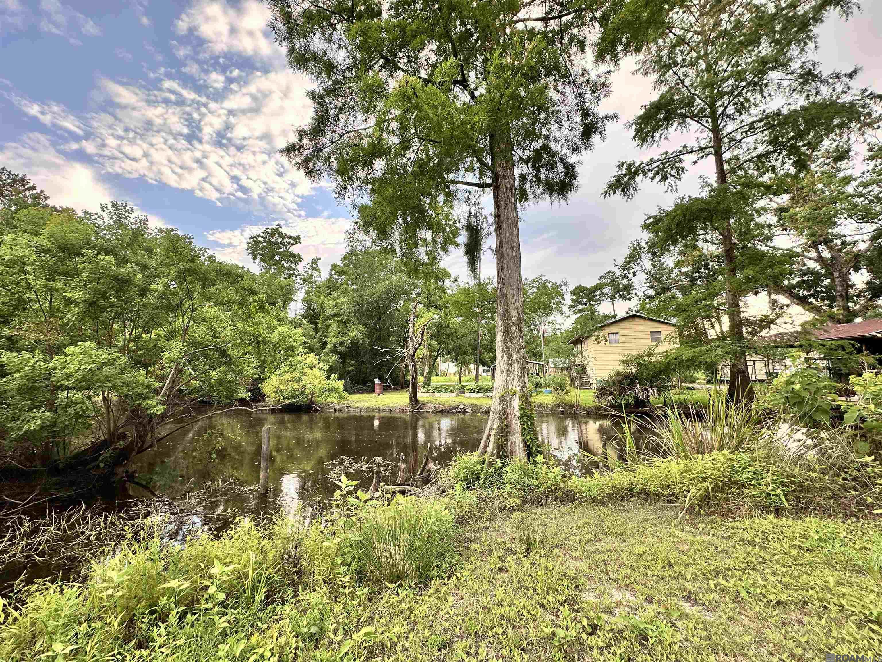 Lot#348349350 Dove St, Maurepas, Louisiana image 1