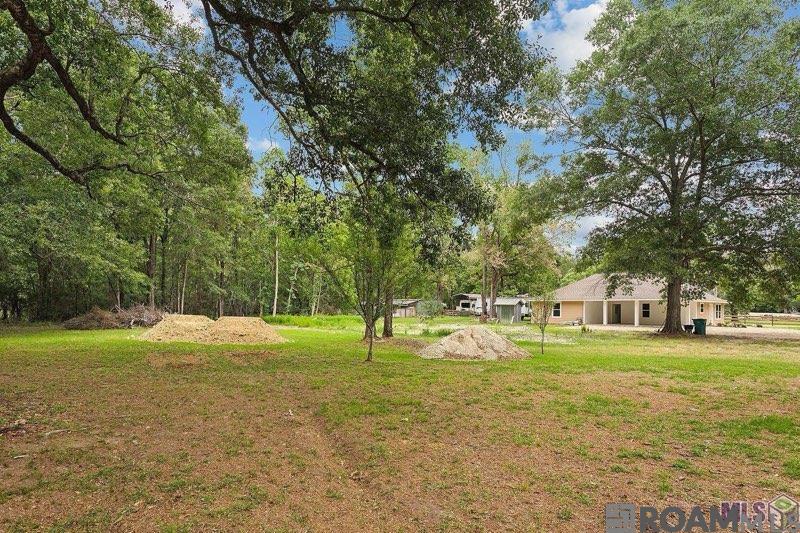 12047 Hammack Rd, Denham Springs, Louisiana image 6