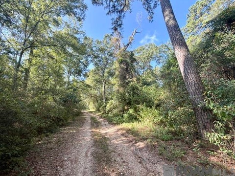 Vacant Land For Sale - Robert Bateman Rd<br/> Washington County, Franklinton, LA 70438