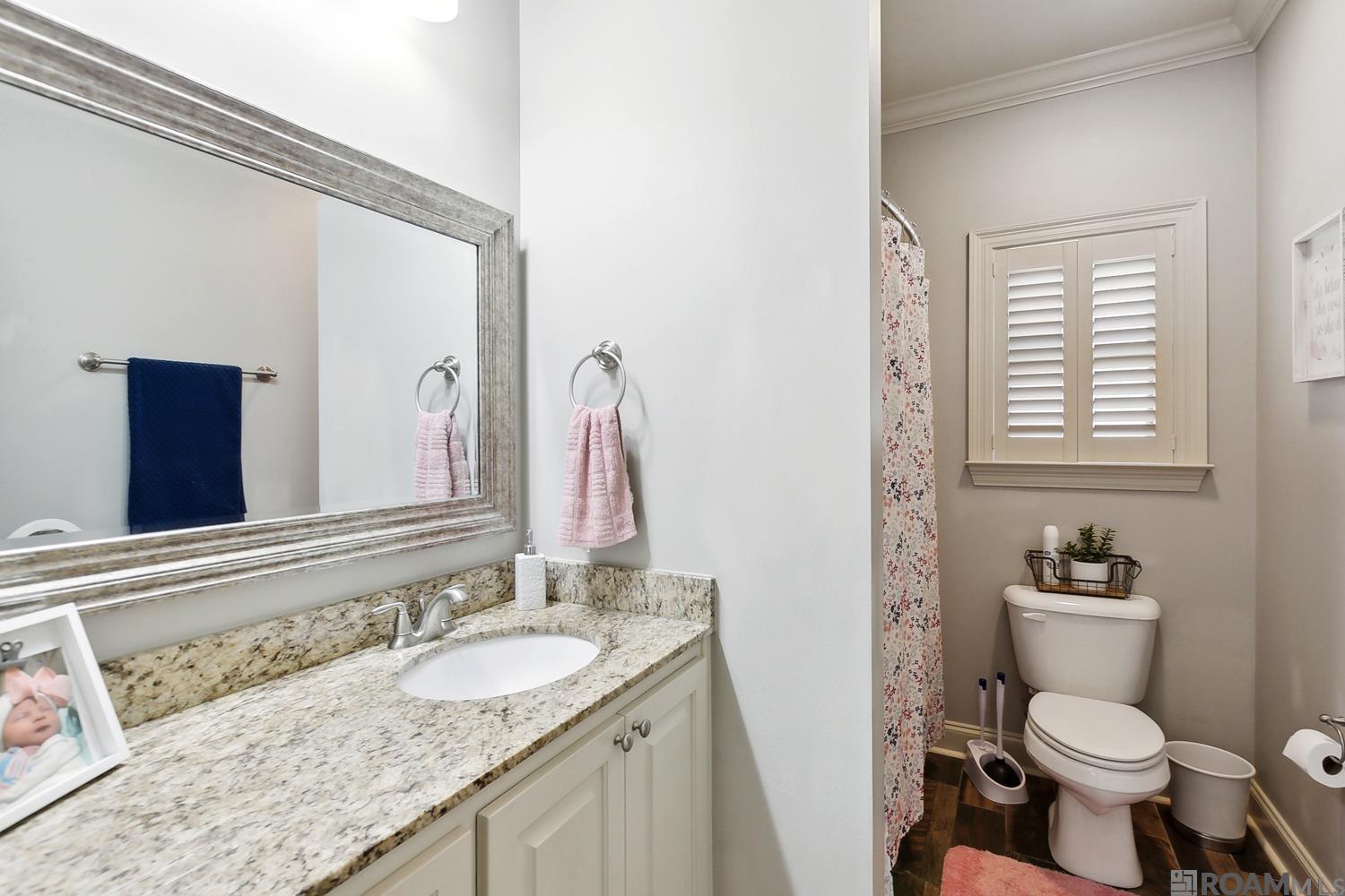 17008 Teneiya Ave, Greenwell Springs, Louisiana image 13