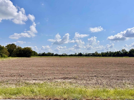 STATE RTE 22, DARROW, LA 70725 - Image 8830d3e8901ce8d04556e801f078d886/4278499366