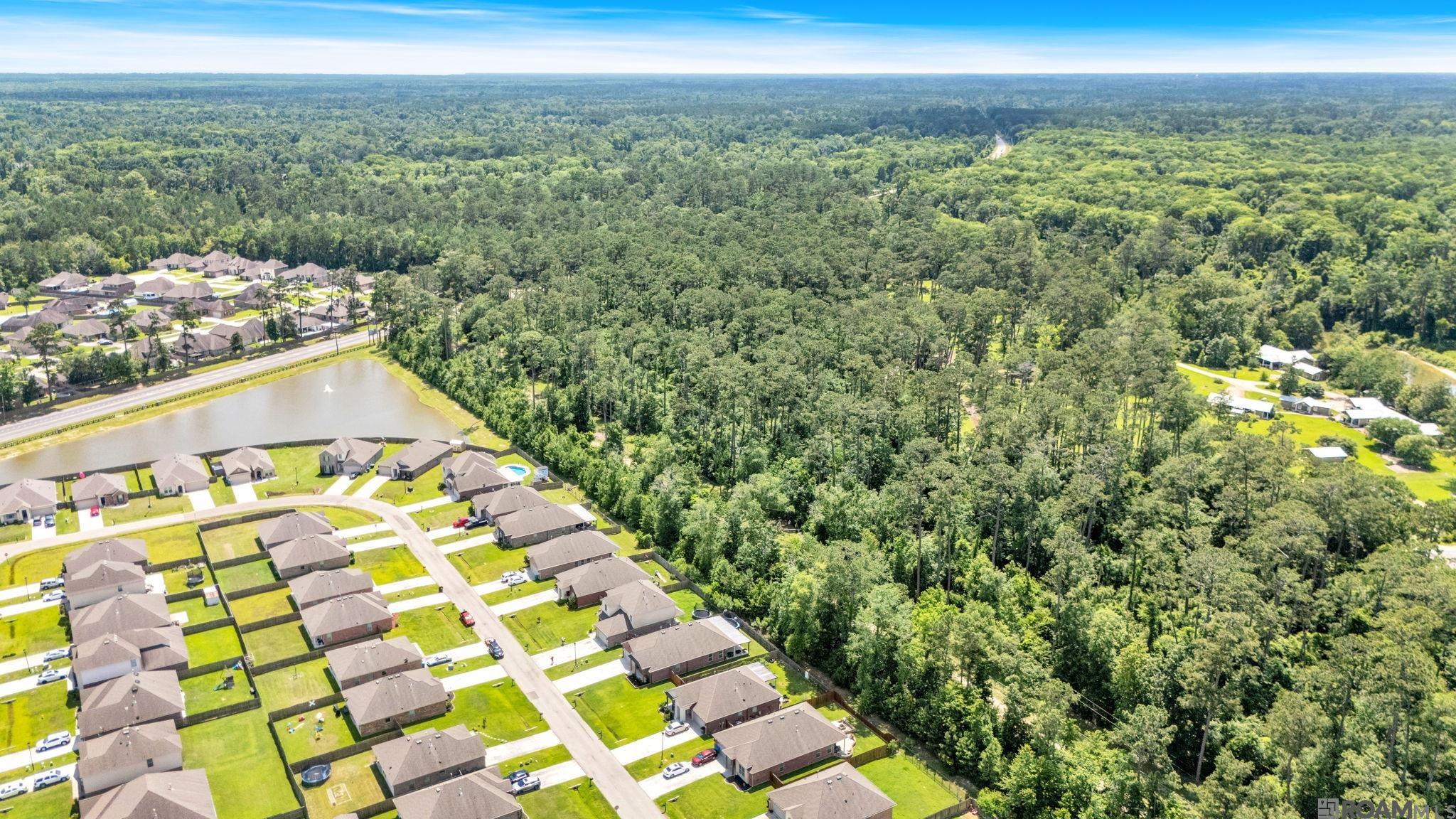 40085 Cypress View Road, Ponchatoula, Louisiana image 39