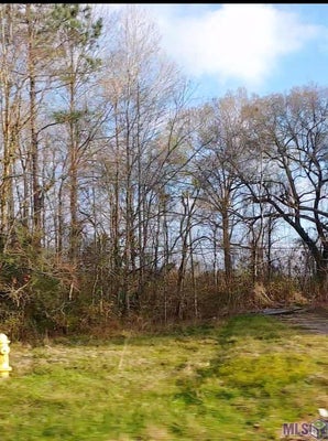 EL SCOTT AVE, BATON ROUGE, LA 70811 - Image 8890bbd25d45a9d1af3c2f87f6d8ae9e/1206890516