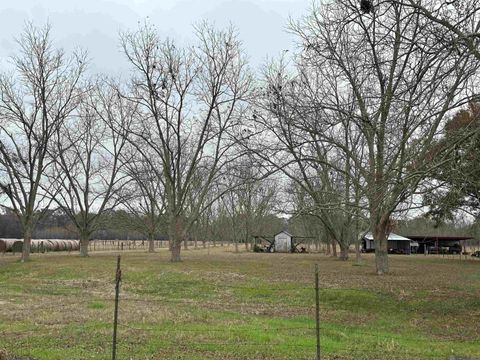 Vacant Land For Sale - 8874 Elton St<br/> Pointe Coupee County, Livonia, LA 70755