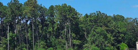 Vacant Land For Sale - 37330 Reinninger Rd<br/> Denham Springs, LA 70706